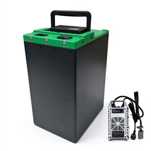 แบตเตอรี่ลิเธียมสำหรับรถจักรยานยนต์ไฟฟ้าจากโรงงาน OEM แบบ Deep Cycle Series Parallel BMS LiFePO4 พร้อมเครื่องชาร์จตามสเปค - Product Image 2