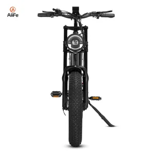 20*4.0 750W 1000W Big Power Fat Tire Electric Mountain E Bike Snow Bike