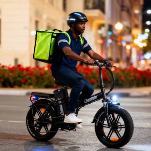 चैम्बर dts425 खाद्य वितरण के लिए हटाने योग्य बैटरी बाइकलेट्टा इलेक्ट्रिक बाइक के साथ थोक 20 इंच फोल्डेबल - Product Image 1