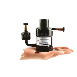 Smallest R134A Compressor Made in China for Hotel Industry Replacing Aspen