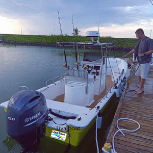 <span class=keywords><strong>Bateau</strong></span> <span class=keywords><strong>Panga</strong></span> en fibre de verre Liya de 25 pieds (7,6 mètres) avec console centrale, <span class=keywords><strong>bateau</strong></span> de plongée et de pêche à vendre - Product Image 2