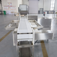 Machine automatique de viande de brochettes de kebab de boeuf haché de barbecue de BBQ d'acier inoxydable