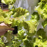Tour de culture aéroponique et hydroponique 65L, grande capacité, 6 à 14 niveaux, système sans sol pour légumes-feuilles et herbes