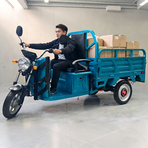 Petit tricycle électrique pour le transport de marchandises, <span class=keywords><strong>prix</strong></span> réduit pour les entreprises, tricycle électrique avec certificat EEC - Product Image 1