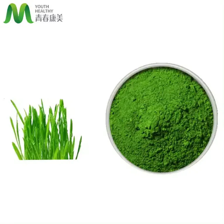 Good Taste Wheat Grass Juice Powder