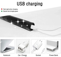 Pointeur laser vert rechargeable par USB pour enseignant