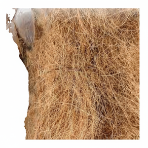 Fibre de noix de coco naturelle de haute qualité pour matelas brosses cordes tapis de culture paillis fibre de coco vente en gros de l'Inde - Product Image 1