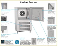 Congélateur-chiller professionnel 5 bacs pour cuisine de restaurant, armoire de congélation monotempérature en acier inoxydable, meilleur mode de refroidissement par ventilateur