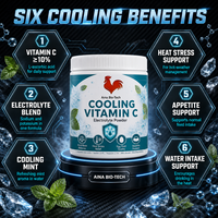AINI BIO-TECH Ice Frost Vitamine C Menthe Soulagement Chaleur Rafraîchissant Anti-Stress Poudre d'Électrolytes Composée pour la Santé Immunitaire