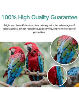 หมึกเติมหมึกหลากสีสำหรับเครื่องพิมพ์แคนอน G1000 G1010 G1310 G2000 G2010เครื่องพิมพ์ <span class=keywords><strong>G3000</strong></span> - Product Image 6