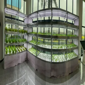 Agriculture Vertical Farming Full Spectrum Grow Lights Modern Vertical Farm Equipment Growth Ecosystem Technology