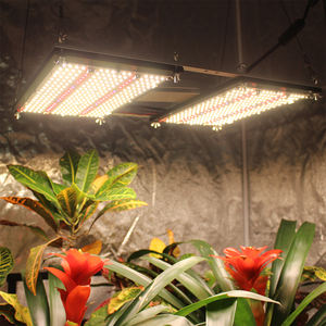 Figolite 2022 <span class=keywords><strong>Novità</strong></span> Originale Scheda LM301h V5 240W Lampada LED per Coltivazione con Controllo Interruttore 395nm 730nm - Product Image 6