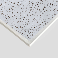 Plaque de plafond en PVC légère et économique pour maison conteneur, bâtiment préfabriqué, application murale et de plafond intérieure temporaire