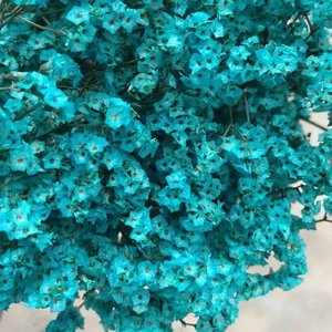 Flores Decorativas, <span class=keywords><strong>Limonium</strong></span> Preservado, Flores Secas, Hierba de Cristal Eterna para Decoración del Hogar - Product Image 2