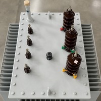 SH15 Amorf Alaşımlı Yağlı Tip Trafo Ultra Düşük Yüksüz Kayıplı Enerji Tasarruflu Tam Bakır Fabrikadan Doğrudan