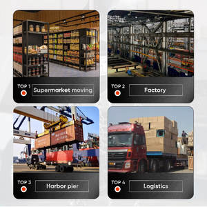 Transpaleta Hidráulica Manual de 3 Toneladas con Ruedas de Nylon, Elevación Alta, en Venta - Product Image 5