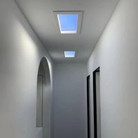 Led Smart Blue Skylights Lumière artificielle du soleil Panneau lumineux Simple Éclairage moderne Personnalité Plafonnier Lumière artificielle du soleil