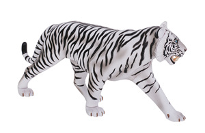 Recurso Didáctico de Ciencias Médicas, Modelo de Anatomía de Tigre 4D, Modelo de <span class=keywords><strong>Esqueleto</strong></span> Muscular <span class=keywords><strong>y</strong></span> Estructura de Órganos para Exhibición en Clases, CE/ISO - Product Image 5