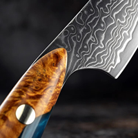 Hoogwaardig 67-laags Damascus staal VG10 kern 3,5 inch schilmesje multifunctioneel fruitmes voor keuken custom dropshipping