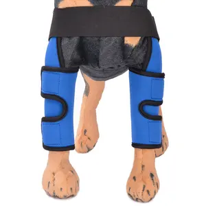 High quality dog front leg brace support canine paw compression wrap shoulder protects