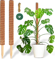 Supports de plantes en mousse pour plantes grimpantes, croissance intérieure, suspendus, minimalistes, grande taille