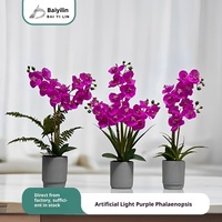 Ensemble de plantes en pot de fleurs de phalaenopsis de style nordique, ornement de bureau multi-pièces, décoration de maison en plastique, Noël, mariage