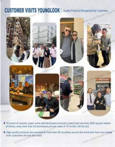 Lame d'essuie-<span class=keywords><strong>glace</strong></span> avec revêtement Teflo silencieux, fonctionne parfaitement pour 99 % des voitures par temps fortement pluvieux, remplacement OEM, ISO9001 - Product Image 6