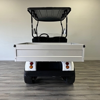 HDK EV Long Electric 48V 2 Kursi Kendaraan Utilitas Pertanian Off-Road UTV 4 Roda Mini Truk Golf Cart