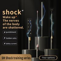 SM fétiche choc électrique cuir Pat bâton d'entraînement femme esclave punition sexe SP outil Flogger fouet pagaie avec Rivet