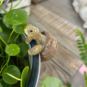 Yard Trang Trí Nhựa Rùa Tượng Key Keeper Vườn Critter Cho Bãi Cỏ Trang Trí - Product Image 2