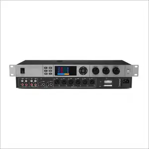 Processeur audio DSP VX-2000 Processeur numérique karaoké Processeur de son 6 canaux 32 bits Mélangeur audio avec USB REC BT