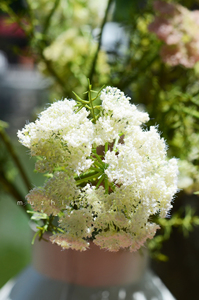 <span class=keywords><strong>Fleurs</strong></span> <span class=keywords><strong>artificielles</strong></span> en dentelle de haute qualité vente en gros décoration de la maison déco de mariage - Product Image 6