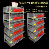 Cage d'élevage surélevée pour cailles et perdrix, avec système de nettoyage automatique du fumier, pour élevages avicoles