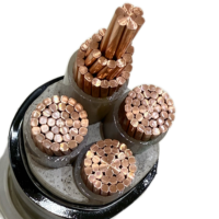 Cable de Aluminio de 2 Núcleos WDZC-YJY de 0.6/1kV con Aislamiento XLPE y Cubierta de PVC, Libre de Halógenos, Clasificación IP68, para Cableado Interior de Edificios Altos