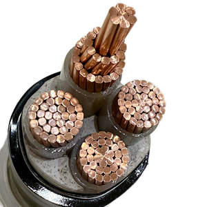 <span class=keywords><strong>สาย</strong></span>ไฟฟ้า 0.6/1kV WDZC-YJY 2 แกน <span class=keywords><strong>อลู</strong></span><span class=keywords><strong>มิ</strong></span><span class=keywords><strong>เนียม</strong></span> ฉนวน XLPE หุ้ม PVC ปราศจากฮาโลเจน มาตรฐาน IP68 สำหรับเดิน<span class=keywords><strong>สาย</strong></span>ภายในอาคารอาคารสูง - Product Image 2