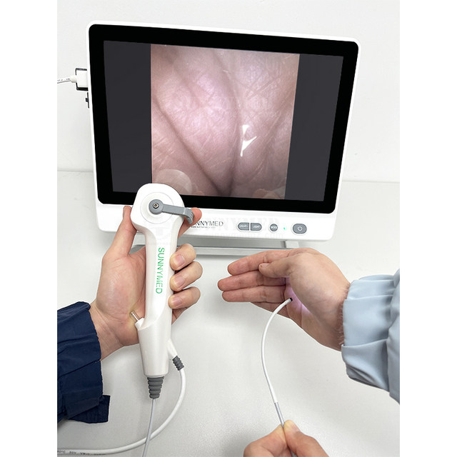 P029-3 CE Certification Flexible Video Ureteroscope Urology Equipment Medical Equipment Factory Price Endoscope
