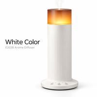 Diffuseur d'huiles essentielles sans eau de 70 ml avec lumière chaude, contrôle tactile, alimentation Type C pour la maison, la chambre, le salon, le bureau