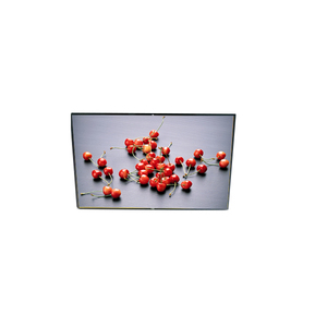 LP101WX2-SLA2 10.1 นิ้ว 1280*800 16.7M แผงหน้าจอ LCD สำหรับแท็บเล็ต - Product Image 1