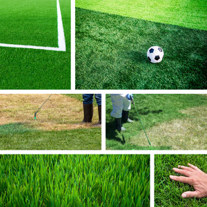 Pintura Ecológica <span class=keywords><strong>para</strong></span> Césped y Pasto, Libre <span class=keywords><strong>de</strong></span> COV, <span class=keywords><strong>de</strong></span> Larga Duración y Secado Rápido, Restaura el Color Verde, Resistente a la Intemperie, No Tóxica - Product Image 6