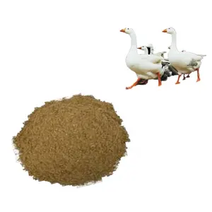 Animal Feed Fishmeal High Quality Export Standard Provides The Required Nutrients