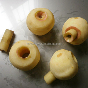 เครื่องปอกเปลือกแอปเปิ้ลไฟฟ้า เครื่องหั่นลูกแพร์ เครื่องปอกเปลือกและคว้านเมล็ดแอปเปิ้ลอุตสาหกรรม ลดราคา - Product Image 2