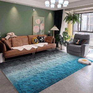 Tapis d'intérieur moderne 4x6 à poils longs, doux et moelleux, en peluche teintée à la machine, adapté aux animaux de compagnie pour les enfants et la chambre à coucher. - Product Image 1