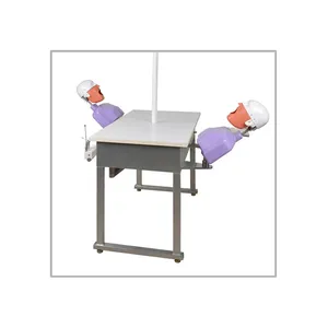 Manufacturer supplier Phantom Head Training simulator dental care model education