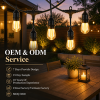 Guirlandes lumineuses LED Edison d'extérieur, fabriquées directement au Vietnam, étanches, indice de protection IP65, pour jardin, Noël et mariages.