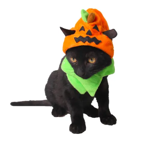 Halloween Pet Supplies Carnival Ghost Festival Dog Hat Cat Jewelry Trick or Treat Pumpkin Hat Wholesale