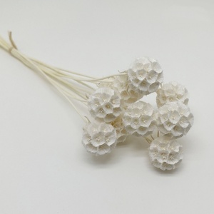 Vendita Calda 10 Pezzi/Bundle Semi di Scabiosa Fiore Preservato Stile Ins Bouquet di <span class=keywords><strong>Fiori</strong></span> Secchi per Decorazione Casa - Product Image 3