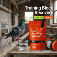 Supplément d'électrolytes avancé pour pigeons pour la récupération post-course, la réhydratation rapide et l'amélioration de l'endurance – Marque privée, OEM, Source Lab