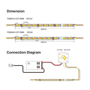 PSB242C High Power <b>LED</b> <b>Strip</b> 240 SMD2835 <b>LEDs</b> M Dual DC 24V 28.8W M Multi CCTs IP20 Rated for High Lumen Linear Lighting - Product Image 5