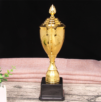Le trophée en plastique de modèle de gloire de vente directe de fabricant de Wenzhou peut personnaliser le prix abordable de logo de base de trophée