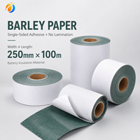 Nastro Isolante in Carta di Grano per Batterie 250mmx100m, per Pacchi Batteria 18650 21700, Accessorio per Fabbriche Elettriche